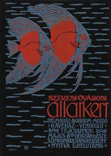 Szekesfovarosi Allatkert, blue and red fish