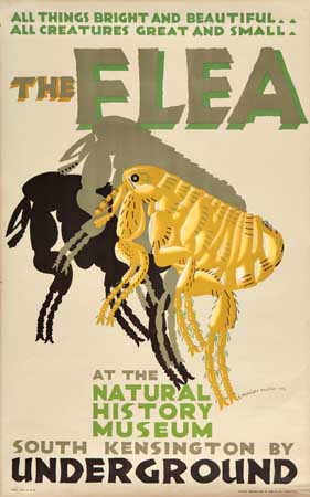 The Flea Underground, bugs