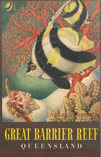 Great Barrier Reef, Queensland, fish and reef