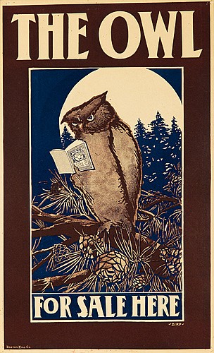 The Owl for Sale Here, Owl, brown poster