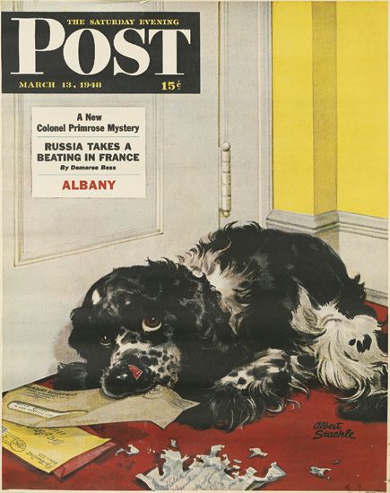 The Saturday Evening Post, dogs at a door, Albany