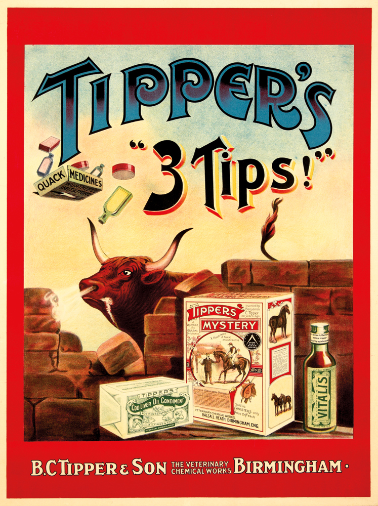 Tipper’s 3 Tips! Bull