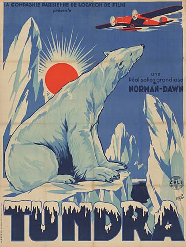 Tundra, polar bear