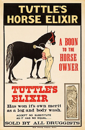 Tuttle’s Horse Elixir, black horse, man grooming