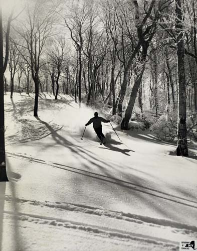 ski-new-york-department-of-commerce