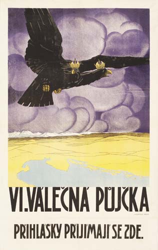VI Valencna Pujcka, large black bird